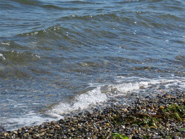 Puget Sound from Tacoma ( 19 of 21) (#0571)