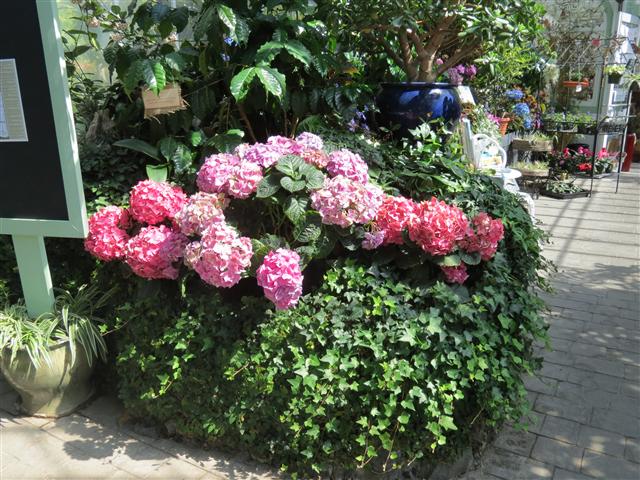 Wright Park in Tacoma ( 1 of 5) (#0577)