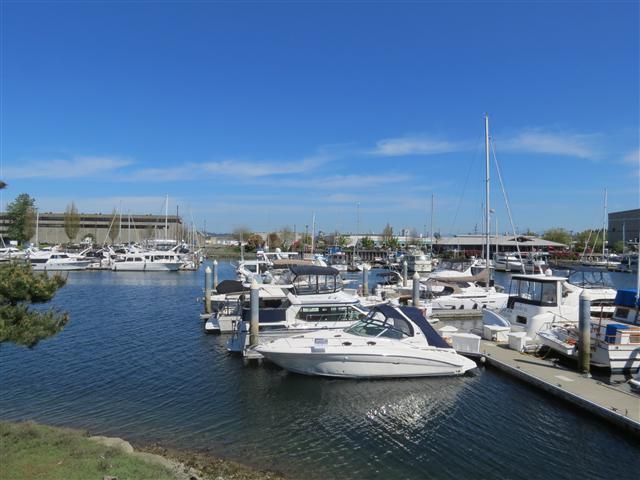 Downtown area in Tacoma ( 3 of 7) (#0590)