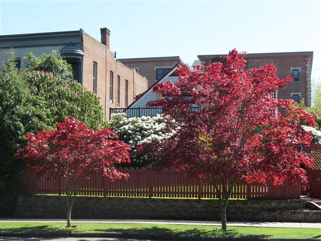 Downtown area in Tacoma ( 6 of 7) (#0603)