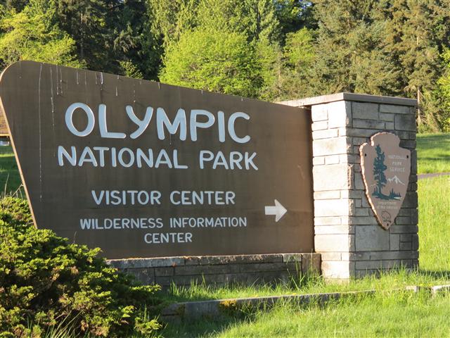 Hurricane Ridge section of Olympic National Park ( 1 of 31) (#0605)