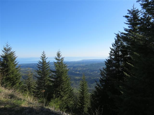 Hurricane Ridge section of Olympic National Park ( 4 of 31) (#0607)