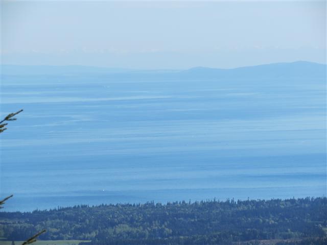 Hurricane Ridge section of Olympic National Park ( 5 of 31) (#0608)