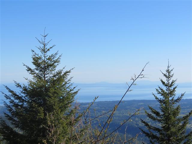 Hurricane Ridge section of Olympic National Park ( 6 of 31) (#0609)