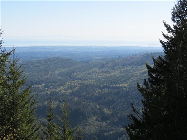 Hurricane Ridge section of Olympic National Park ( 7 of 31) (#0612)