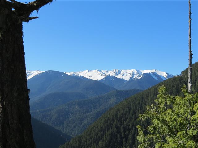 Hurricane Ridge section of Olympic National Park ( 9 of 31) (#0614)
