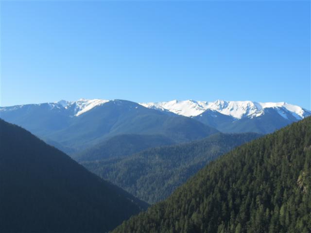 Hurricane Ridge section of Olympic National Park ( 10 of 31) (#0615)