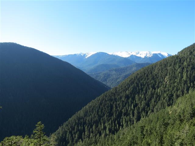 Hurricane Ridge section of Olympic National Park ( 11 of 31) (#0616)