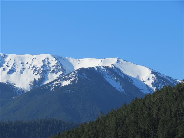 Hurricane Ridge section of Olympic National Park ( 12 of 31) (#0617)