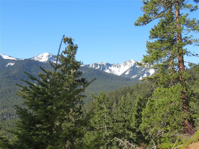 Hurricane Ridge section of Olympic National Park ( 19 of 31) (#0624)