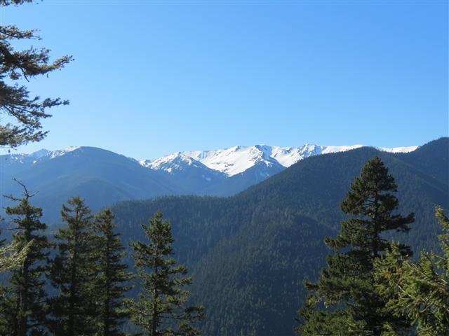 Hurricane Ridge section of Olympic National Park ( 20 of 31) (#0625)