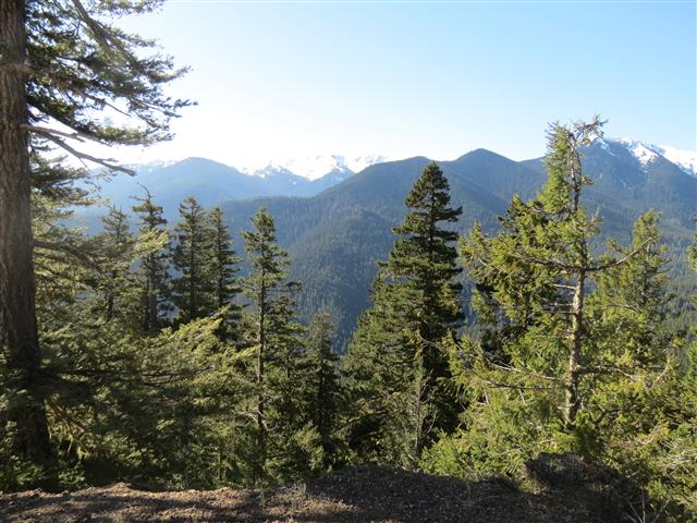 Hurricane Ridge section of Olympic National Park ( 21 of 31) (#0626)