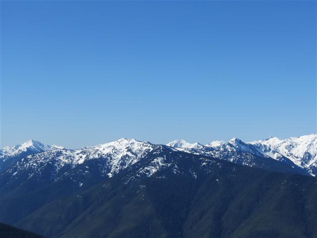 Hurricane Ridge section of Olympic National Park ( 22 of 31) (#0627)