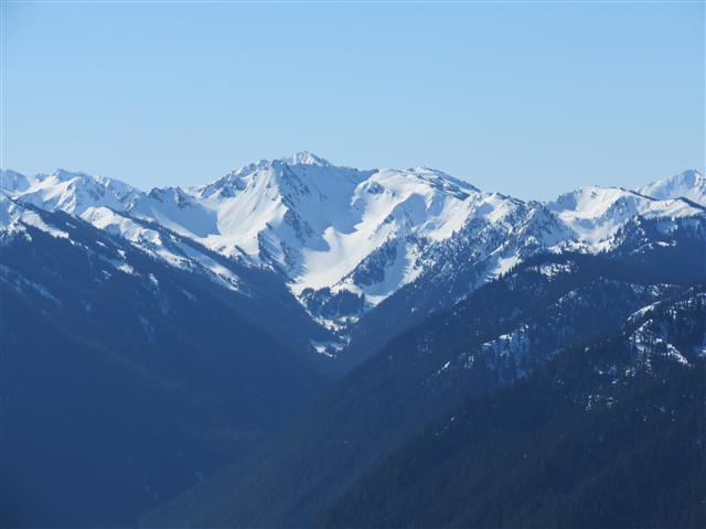 Hurricane Ridge section of Olympic National Park ( 25 of 31) (#0630)