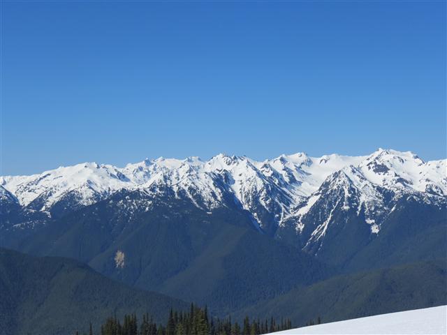 Hurricane Ridge section of Olympic National Park ( 27 of 31) (#0633)