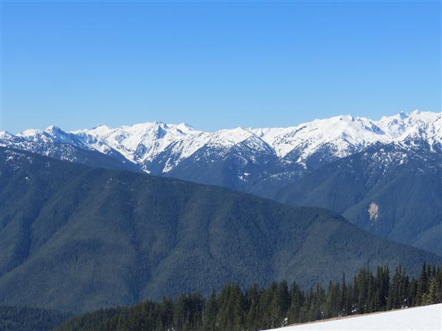 Hurricane Ridge section of Olympic National Park ( 28 of 31) (#0634)