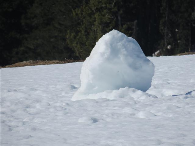 Hurricane Ridge section of Olympic National Park ( 30 of 31) (#0636)