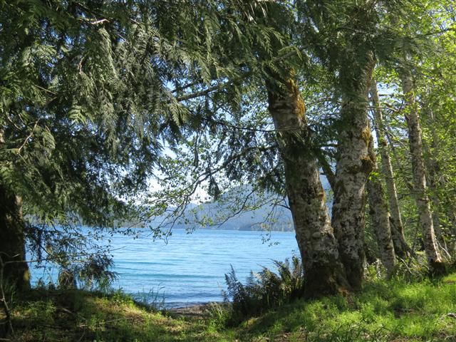 Crescent Lake in north central Olympic National Park ( 9 of 22) (#0645)