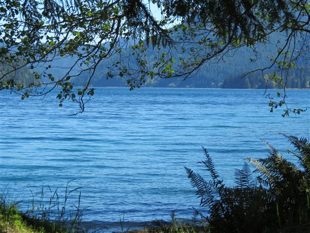 Crescent Lake in north central Olympic National Park ( 10 of 22) (#0646)