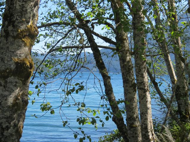 Crescent Lake in north central Olympic National Park ( 13 of 22) (#0649)