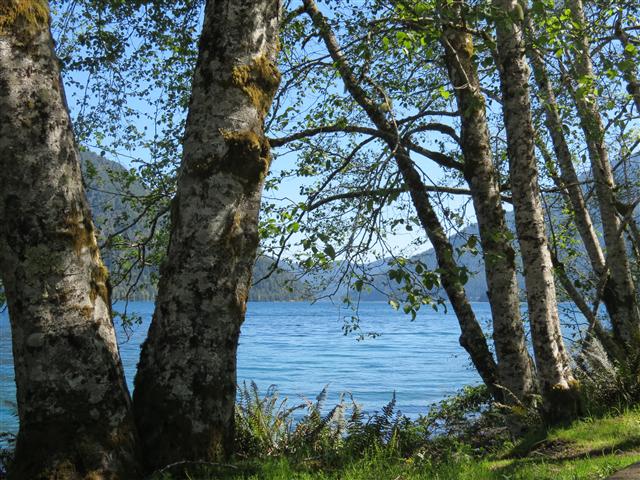 Crescent Lake in north central Olympic National Park ( 14 of 22) (#0650)