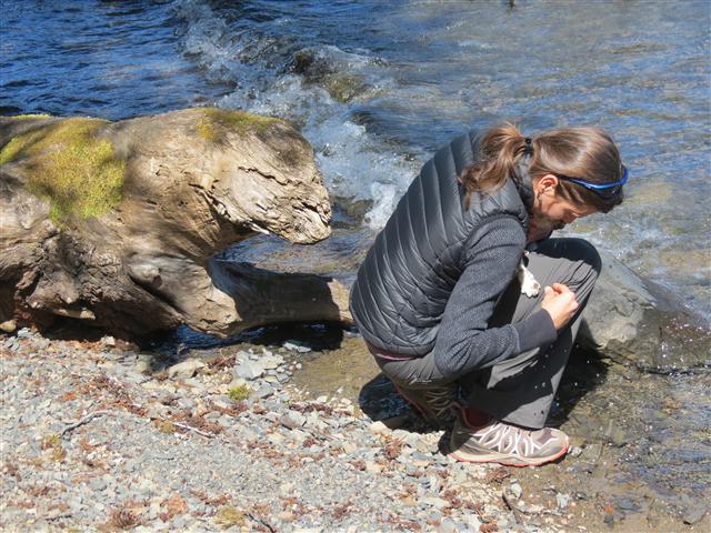 Crescent Lake in north central Olympic National Park ( 21 of 22) (#0657)