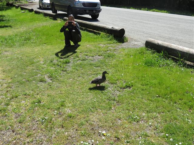 Crescent Lake in north central Olympic National Park ( 23 of 22) (#0659)