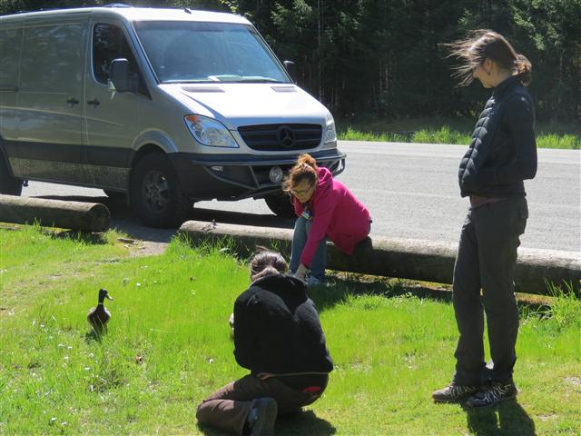 Crescent Lake in north central Olympic National Park ( 27 of 22) (#0663)