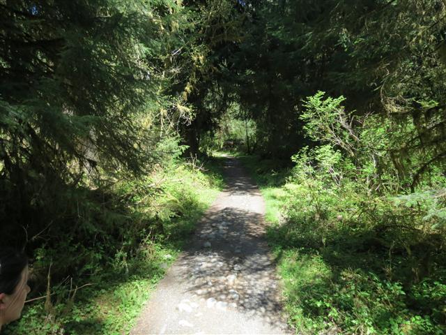 Crescent Lodge in north central Olympic National Park ( 5 of 16) (#0668)