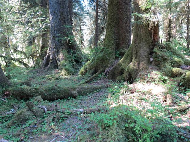 Crescent Lodge in north central Olympic National Park ( 6 of 16) (#0669)