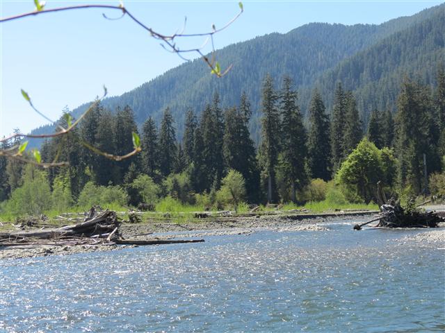 Crescent Lodge in north central Olympic National Park ( 8 of 16) (#0671)