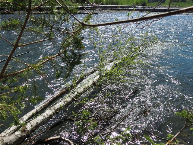 Crescent Lodge in north central Olympic National Park ( 9 of 16) (#0672)