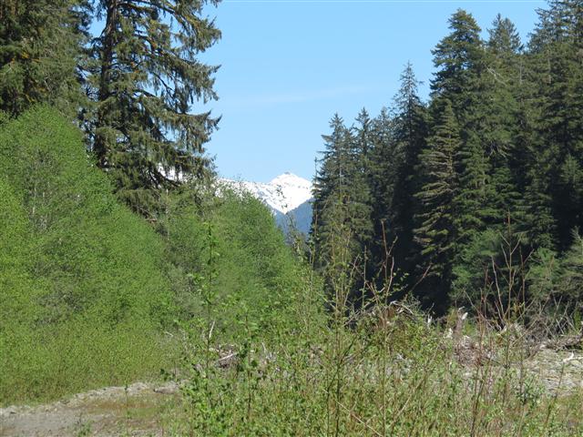 Crescent Lodge in north central Olympic National Park ( 10 of 16) (#0673)