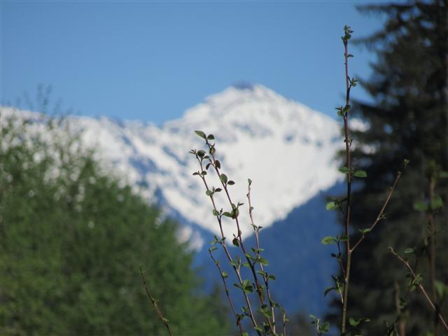 Crescent Lodge in north central Olympic National Park ( 12 of 16) (#0676)