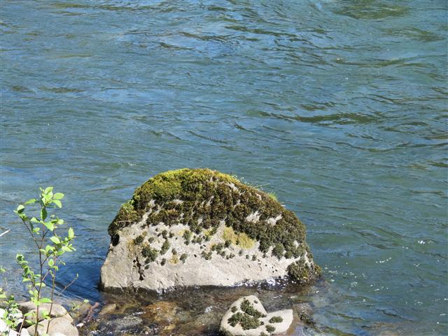 Crescent Lodge in north central Olympic National Park ( 13 of 16) (#0677)