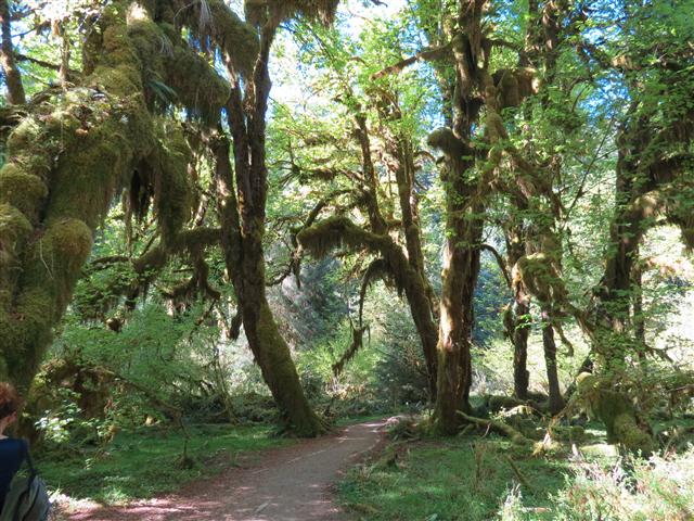 Crescent Lodge in north central Olympic National Park ( 15 of 16) (#0679)