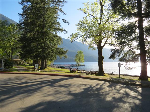 Hoh Rain Forest in western central Olympic National Park ( 1 of 8) (#0681)