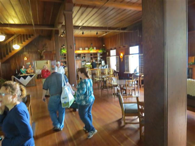 Hoh Rain Forest in western central Olympic National Park ( 2 of 8) (#0682)