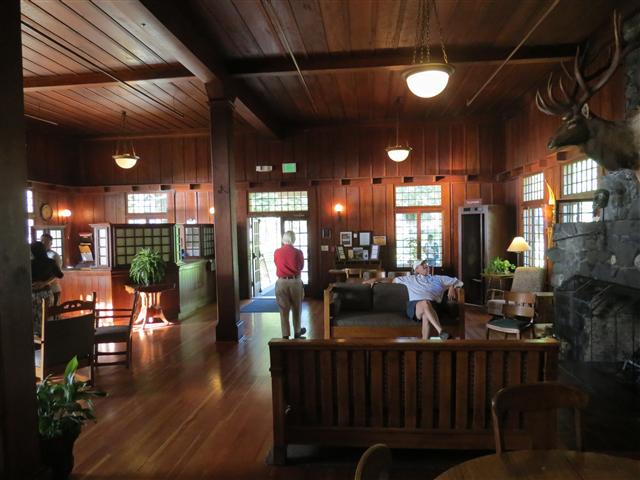 Hoh Rain Forest in western central Olympic National Park ( 3 of 8) (#0683)