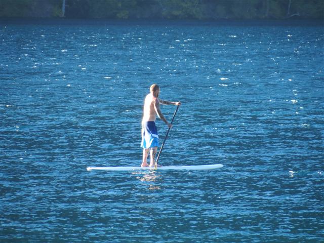 Hoh Rain Forest in western central Olympic National Park ( 4 of 8) (#0684)