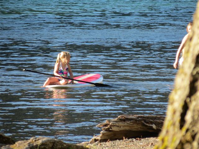 Hoh Rain Forest in western central Olympic National Park ( 5 of 8) (#0685)