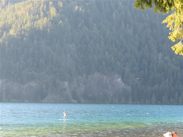 Hoh Rain Forest in western central Olympic National Park ( 6 of 8) (#0686)