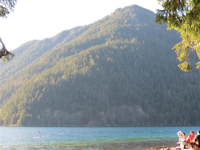 Hoh Rain Forest in western central Olympic National Park ( 7 of 8) (#0687)