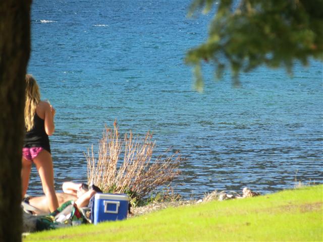 Hoh Rain Forest in western central Olympic National Park ( 8 of 8) (#0688)