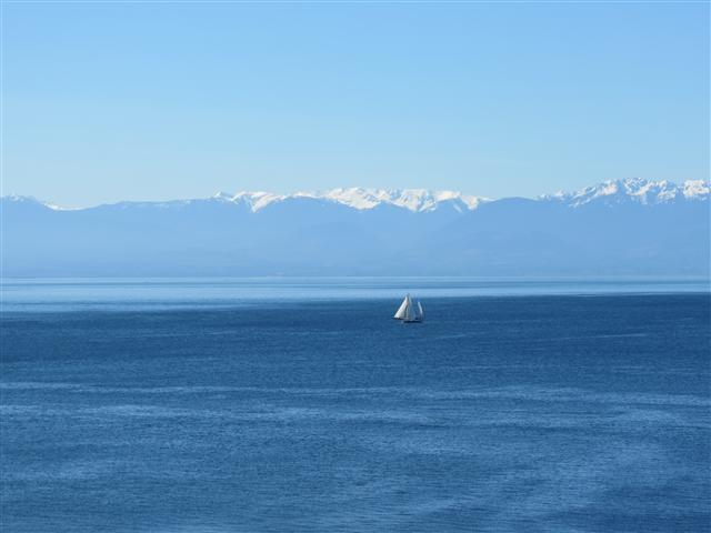 Scenery from Beacon Park in south Victoria, BC ( 2 of 23) (#0701)