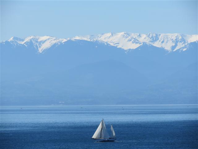 Scenery from Beacon Park in south Victoria, BC ( 3 of 23) (#0702)