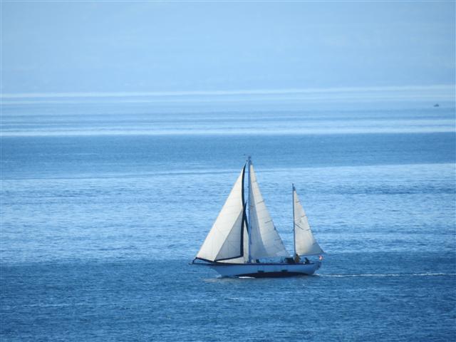 Scenery from Beacon Park in south Victoria, BC ( 4 of 23) (#0705)