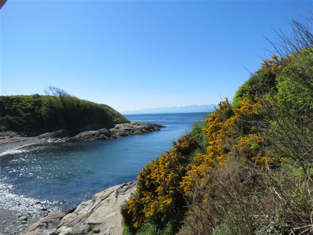 Scenery from Beacon Park in south Victoria, BC ( 7 of 23) (#0709)
