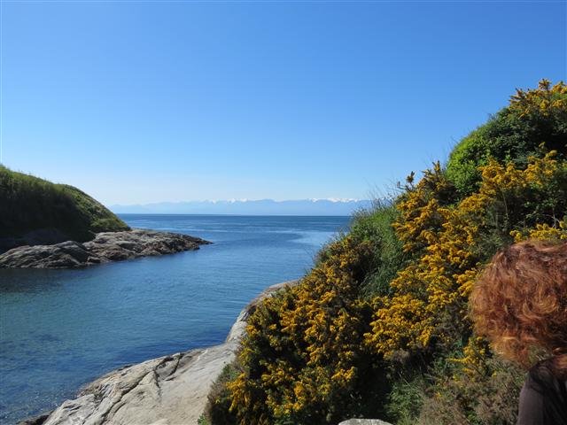 Scenery from Beacon Park in south Victoria, BC ( 8 of 23) (#0710)