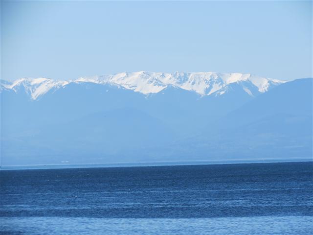 Scenery from Beacon Park in south Victoria, BC ( 13 of 23) (#0715)